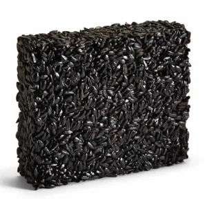 Black Oil Sunflower Seed Cake