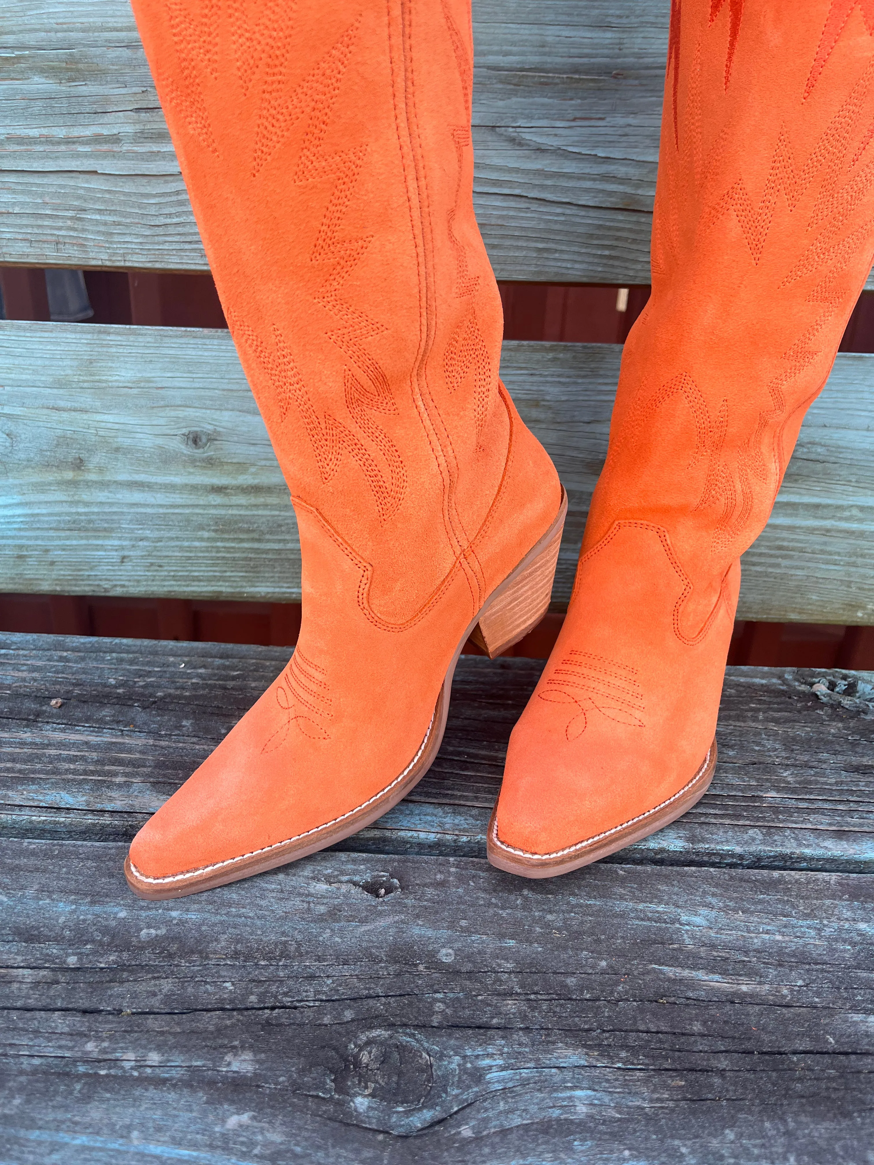 Dingo Women's Orange Thunder Road Snip Toe Cowgirl Boots DI597-OR