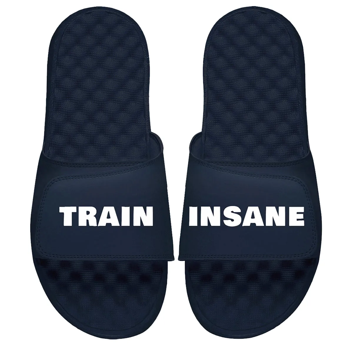 Train Insane Slides